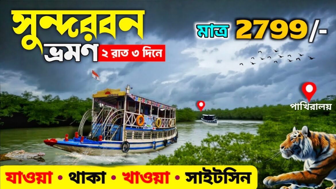 Sundarban Tour | Sundarban Ilish Utsav 2025 | সুন্দরবন | Sundarban Tour Package 2025 | Sundarban