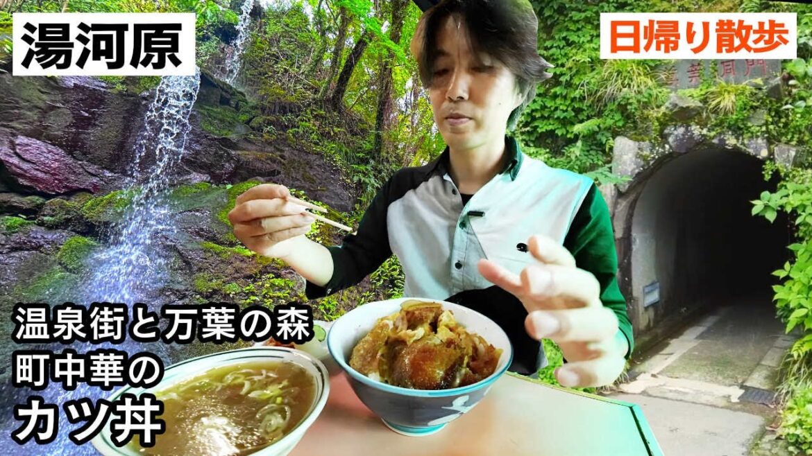 【湯河原ぶらり旅】ジブリっぽいトンネルと、のれんが朽ちた町中華でカツ丼 【湯河原ぶらり旅】ジブリっぽいトンネルと、のれんが朽ちた町中華でカツ丼