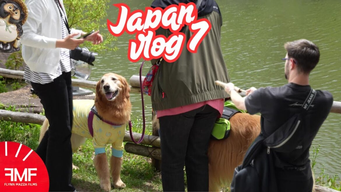 Japan tour Vlog 7 : Exploring Takayama