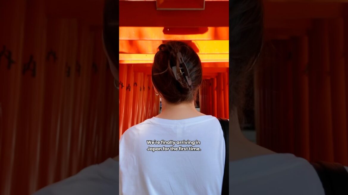2 Weeks in JAPAN! 🇯🇵 #japan