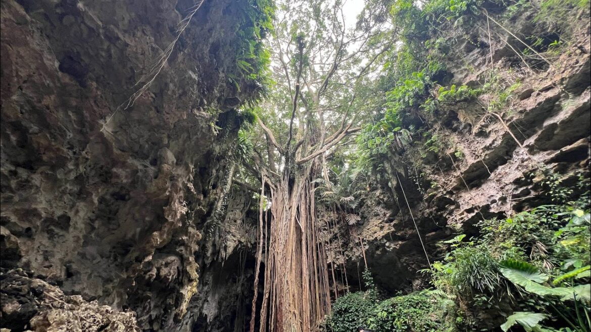 May 2025 visitting to Naha, Okinawa, Japan