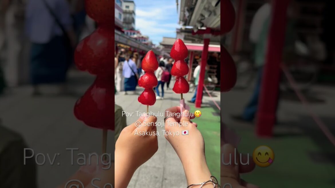Taste the Tanghulu π at Sensoji Temple! π―π΅ #tanghulu #japan #travel #shorts Taste the Tanghulu π at Sensoji Temple! π―π΅ #tanghulu #japan #travel #shorts