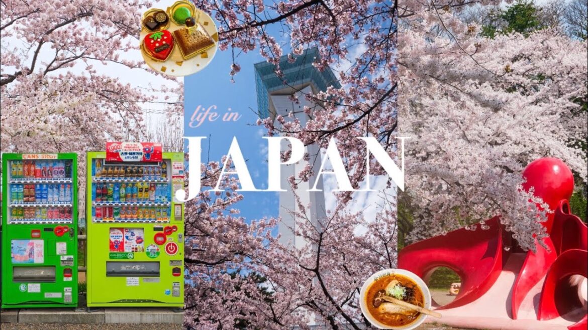 🌸life in Japan vlog/sakura/cherry blossom/hanami/Tokyo, Hokkaido, Hakodate, Matsumae/park/food/cafe