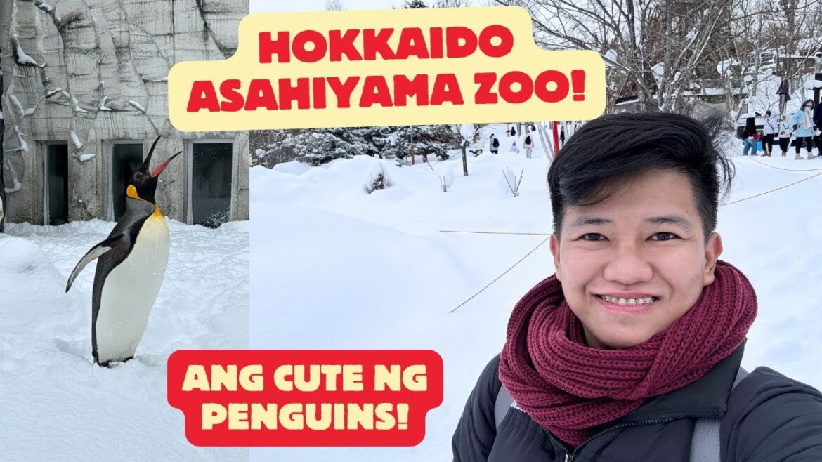 HOKKAIDO ASAHIYAMA ZOO Part 1 | JAPAN TRAVEL VLOG 🇯🇵 HOKKAIDO ASAHIYAMA ZOO Part 1 | JAPAN TRAVEL VLOG 🇯🇵