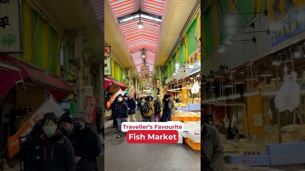 Best lesser-known fish market in Japan!🍱