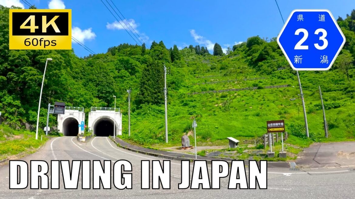 【Driving in Japan】Niigata Prefectural Route 23 : Muramatsu - Horinouchi [Insta 360 Ace Pro 4K60P]