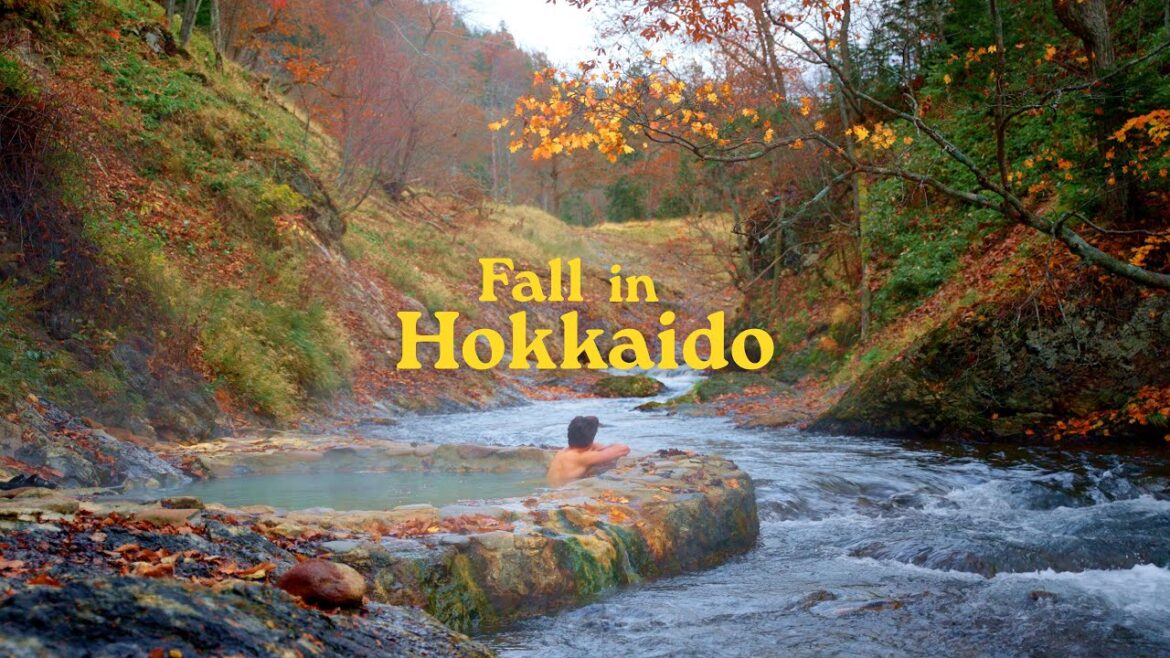 Peak Fall in Central Hokkaido | Van Life Japan