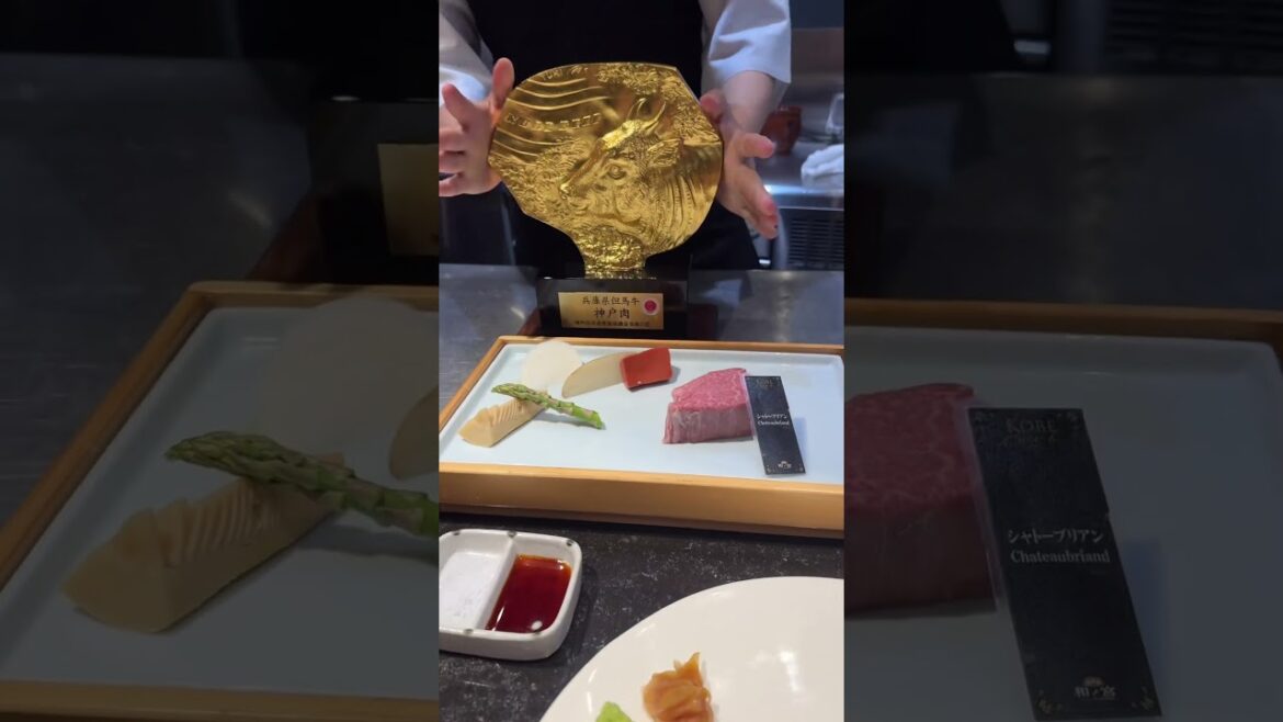 Most expensive beef 🥹 would u eat it ? #travel #japantravel #solotravel #travelvlog #japan