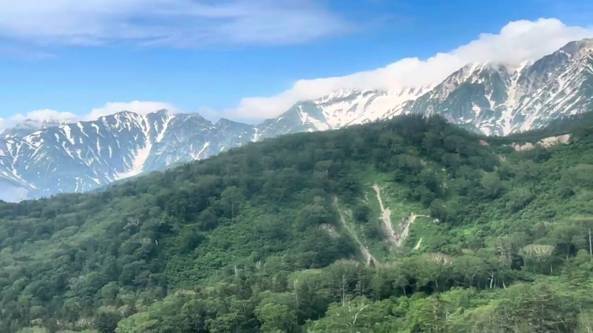 栂池ロープウェイ下山 2/3 自然園駅出発   2025年6月30日