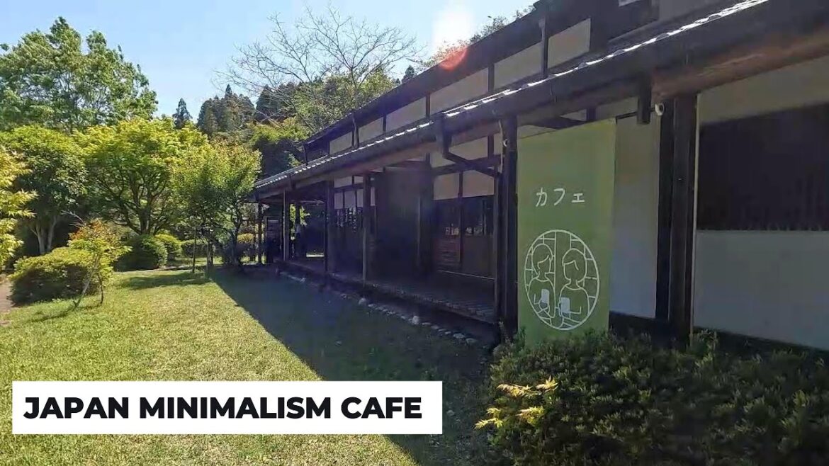 Hidden Gem Café in Shizuoka: Sauna, Books & Healthy Lunch All in One!