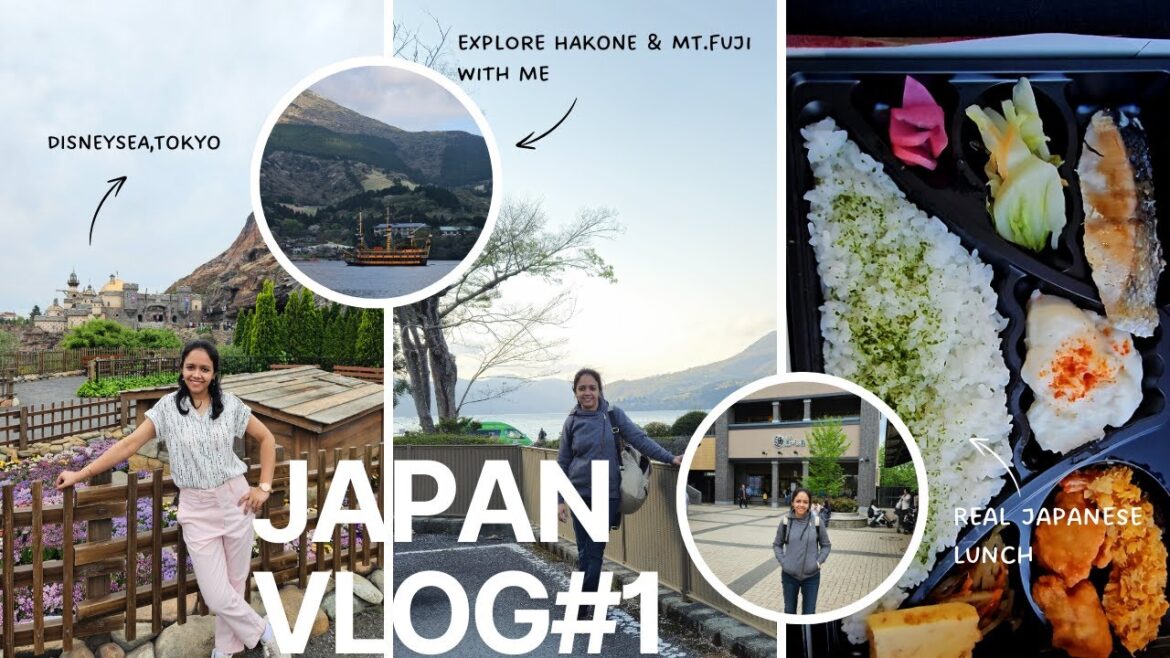 Japan travel/3 days in Tokyo/DisneySea/Mt.Fuji/Hakone Volcano/Pirate Ship@Lake Ashi/Pick My Path