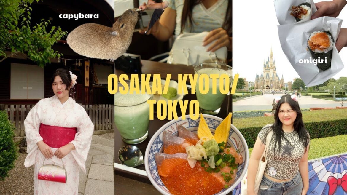 9 DAYS IN JAPAN ⛩️ | first time, matcha, sushi, kimonos & japan's attractions