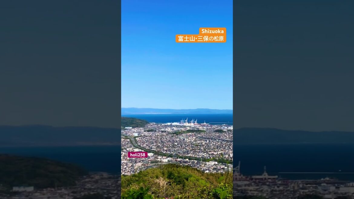 Shizuoka #travel #trending #shizuoka #mtfuji