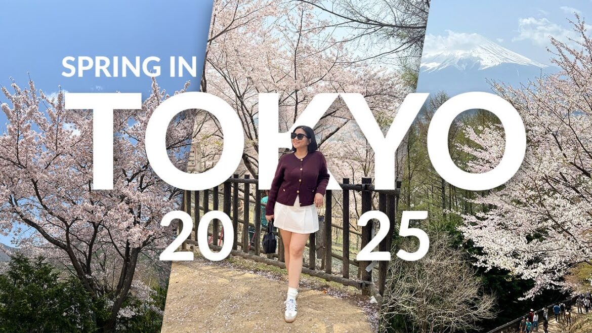Spring in Japan 2025 | 8 Days Itinerary | Tokyo Japan Spring in Japan 2025 | 8 Days Itinerary | Tokyo Japan