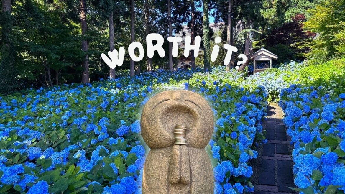 I Traveled 16 Hours To Rural Japan For This I Traveled 16 Hours To Rural Japan For This