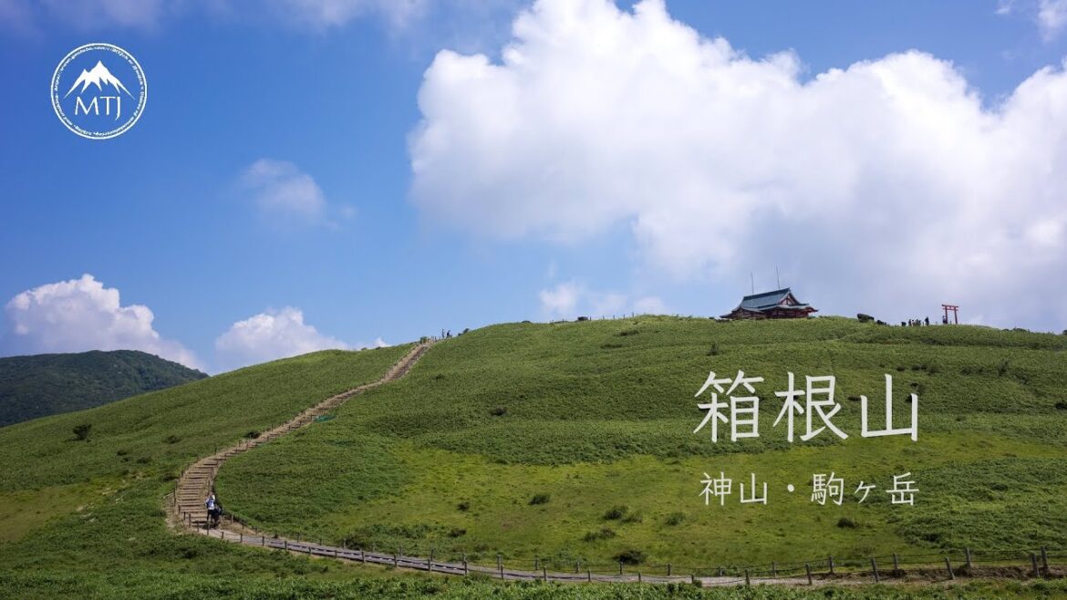 箱根山（神山・駒ケ岳）｜桃源台から【登山・ハイキング・日帰り・車・2025年6月29日】神奈川県｜富士箱根伊豆国立公園