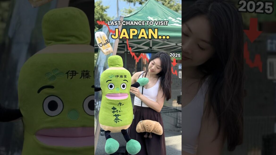Why 2025 Is Your Final Chance To Travel Japan CHEAP #japan