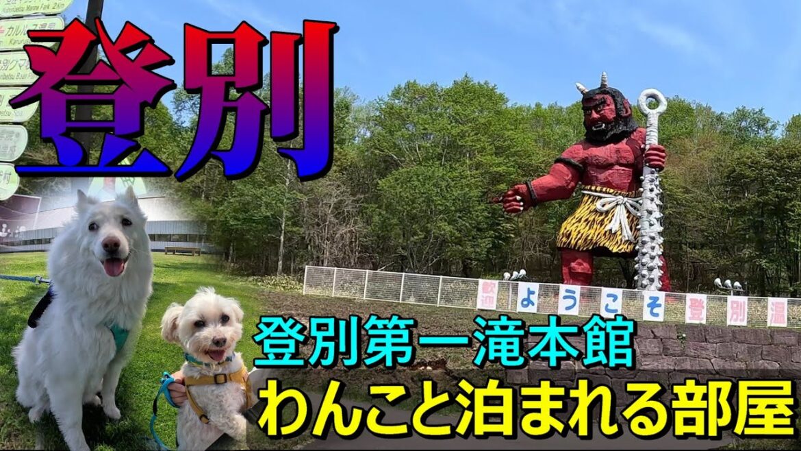 札幌から登別温泉へ犬連れ旅！愛犬と一緒に地獄谷早朝散歩が心地よい！