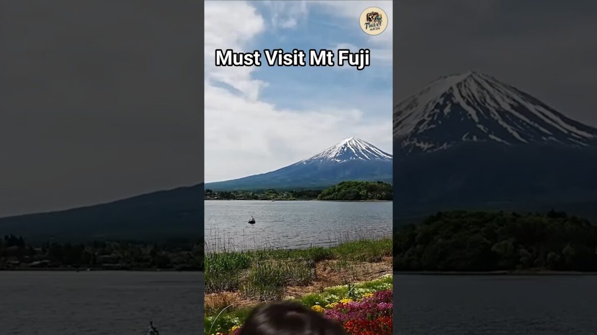 Solo Day Trip from Tokyo to Mt. Fuji Helped Me Reset Solo Day Trip from Tokyo to Mt. Fuji Helped Me Reset