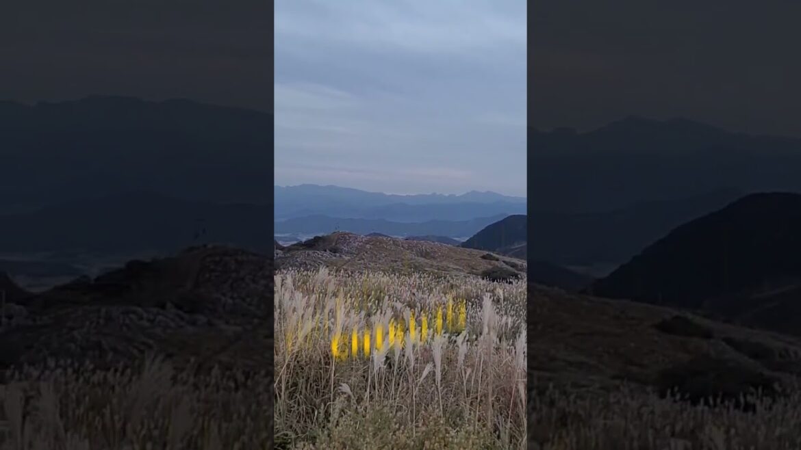 築城の高台にて     Sur les hauteurs de Chikujo          ♫ Suzume (feat. Toaka) 築城の高台にて     Sur les hauteurs de Chikujo          ♫ Suzume (feat. Toaka)