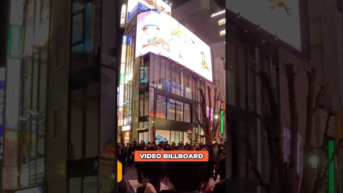 Shinjuku’s Wildest Attractions in Under 10 Seconds Shinjuku’s Wildest Attractions in Under 10 Seconds