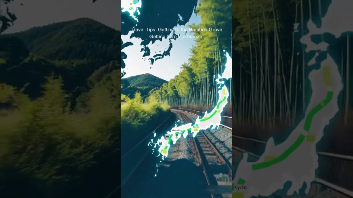 Kyoto’s Bamboo Forest in the Wind 4K 🌿 | Zen Soundscape + Travel Guide | Xplorer & Venturer Kyoto’s Bamboo Forest in the Wind 4K 🌿 | Zen Soundscape + Travel Guide | Xplorer & Venturer
