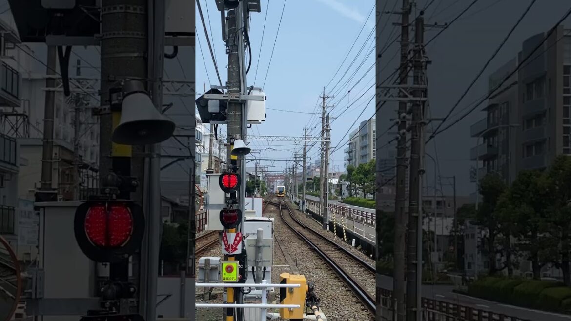Train trip in Japan 🇯🇵