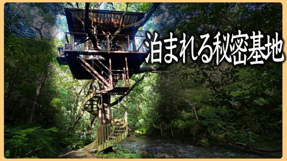 【秘境ホテル】人生一度は行ってみたい宿!心ときめく木の上の秘密基地🌴ツリーフルツリーハウス|Treeful Treehouse | Okinawa, Japan 【秘境ホテル】人生一度は行ってみたい宿!心ときめく木の上の秘密基地🌴ツリーフルツリーハウス|Treeful Treehouse | Okinawa, Japan