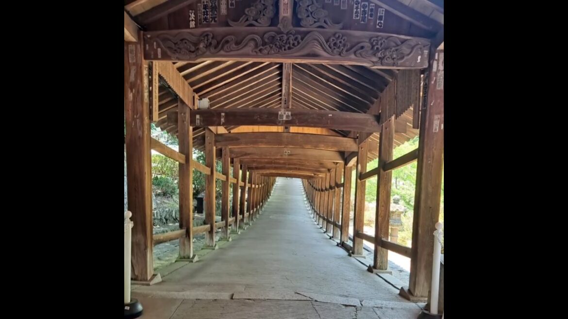 岡山吉備津神社～繡球花滿開