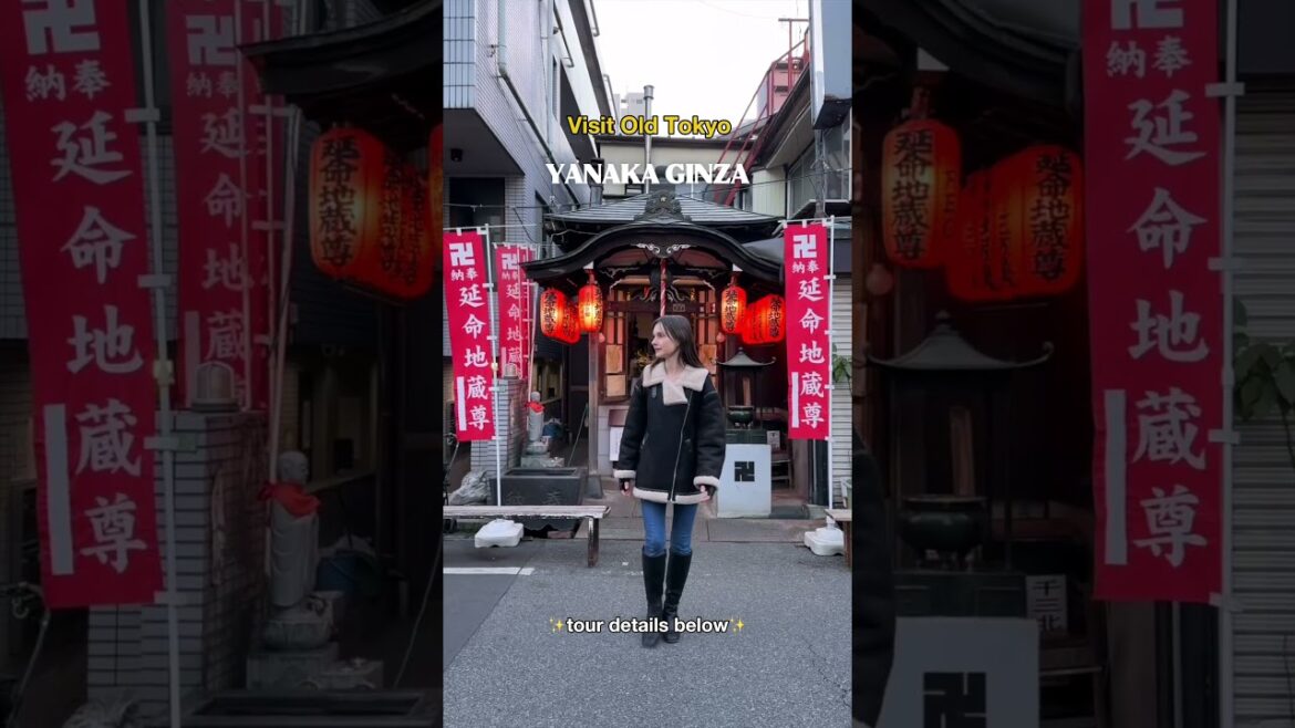 Explore the Old Tokyo on a Walking Tour, Tokyo Explore the Old Tokyo on a Walking Tour, Tokyo