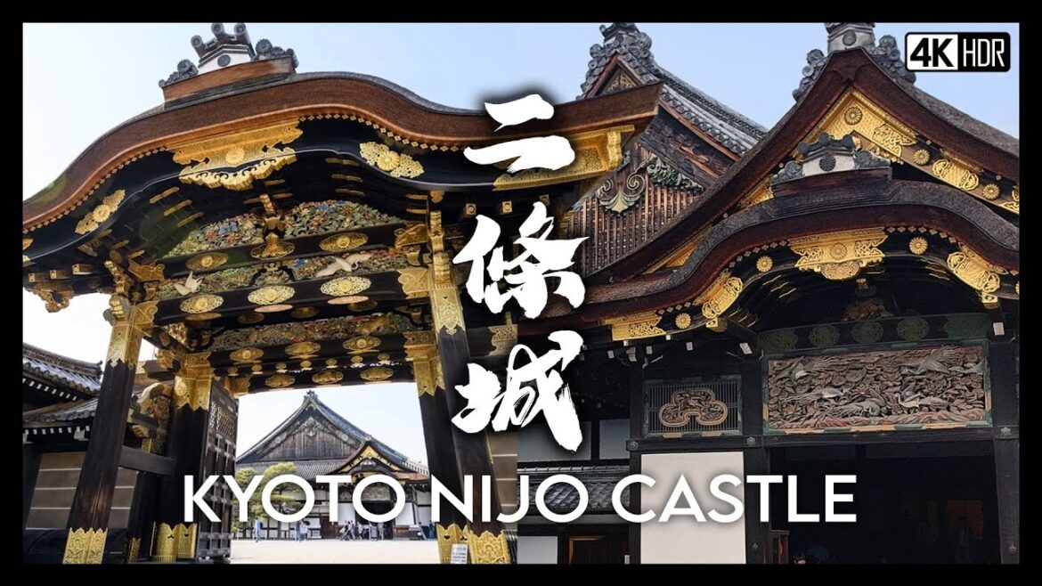 Nijo Castle & Mikane Shrine Kyoto Walking Tour, Must visit World Heritage | Japan Travel VLOG 2024 Nijo Castle & Mikane Shrine Kyoto Walking Tour, Must visit World Heritage | Japan Travel VLOG 2024
