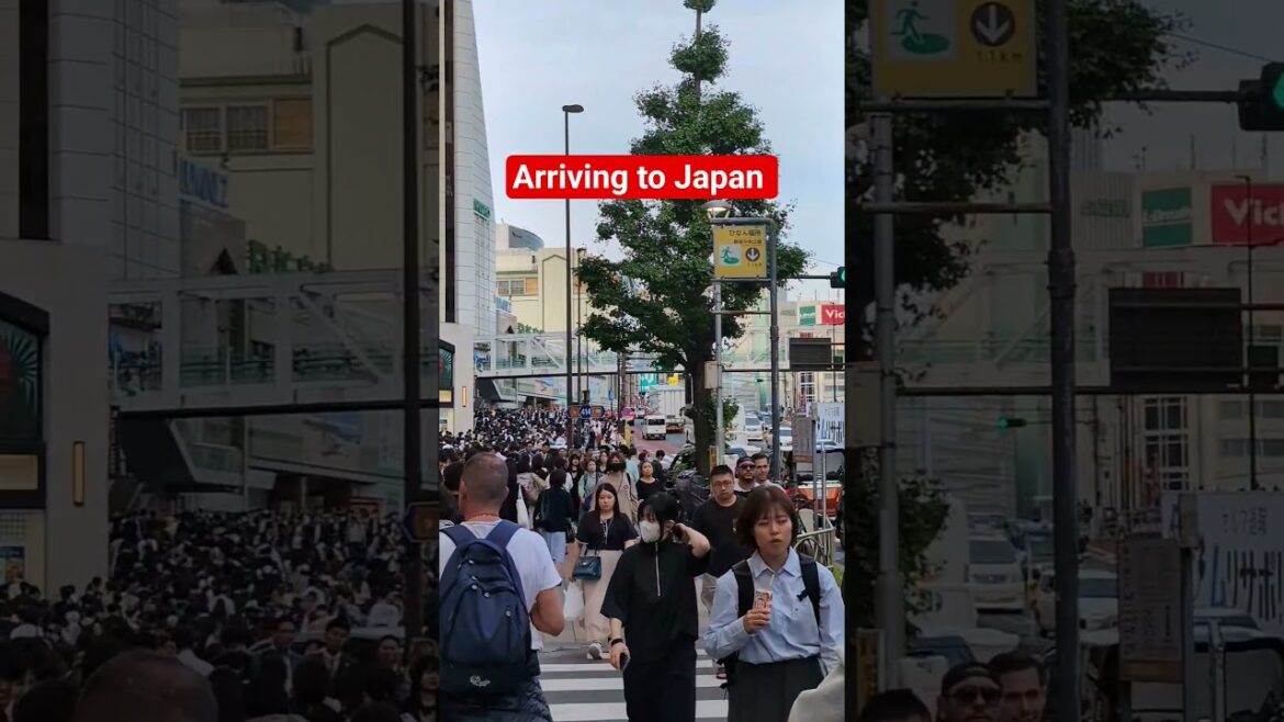 Arriving to Japan #travel #japan #viral #travelvlog