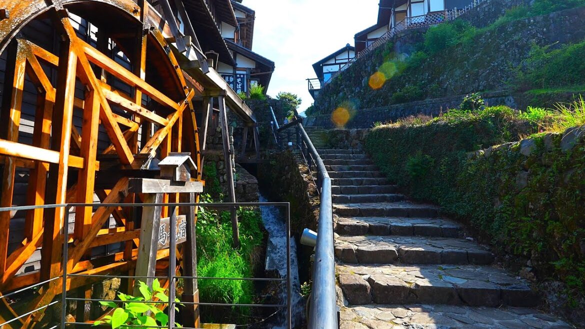 Hydrangeas bloom along the Samurai Road from Magome-juku to Tsumago-juku! Hydrangeas bloom along the Samurai Road from Magome-juku to Tsumago-juku!