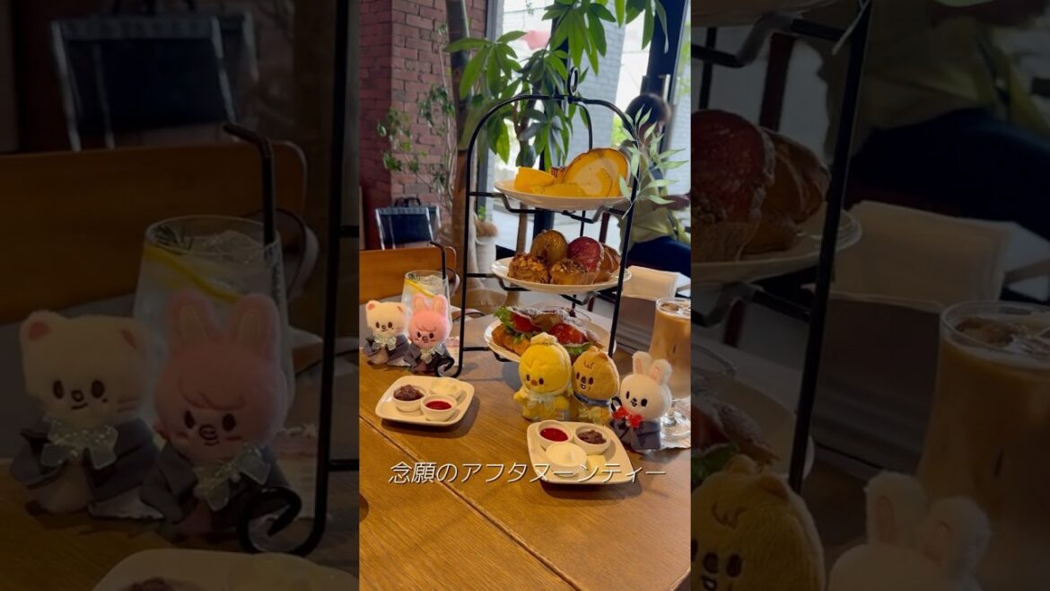 Stray Kids World Tour dominATE JAPAN @静岡エコパスタジアムに行ってきました❣️🍨🍬 Stray Kids World Tour dominATE JAPAN @静岡エコパスタジアムに行ってきました❣️🍨🍬