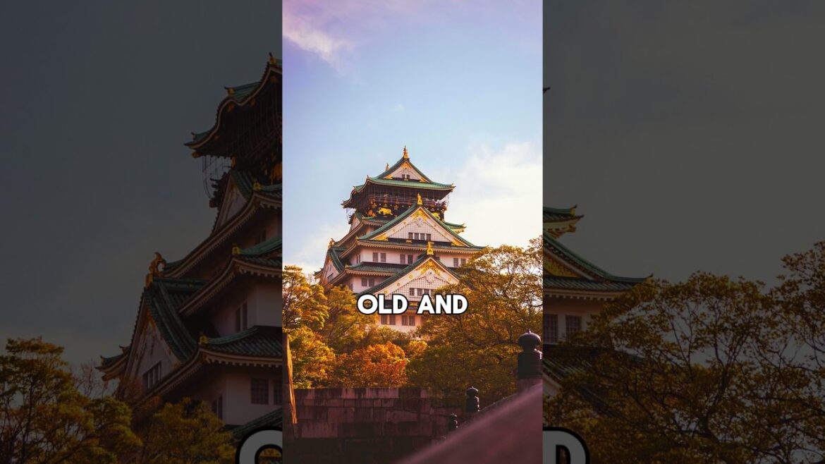 The Real Japan Is in Osaka! 🇯🇵 #travel The Real Japan Is in Osaka! 🇯🇵 #travel
