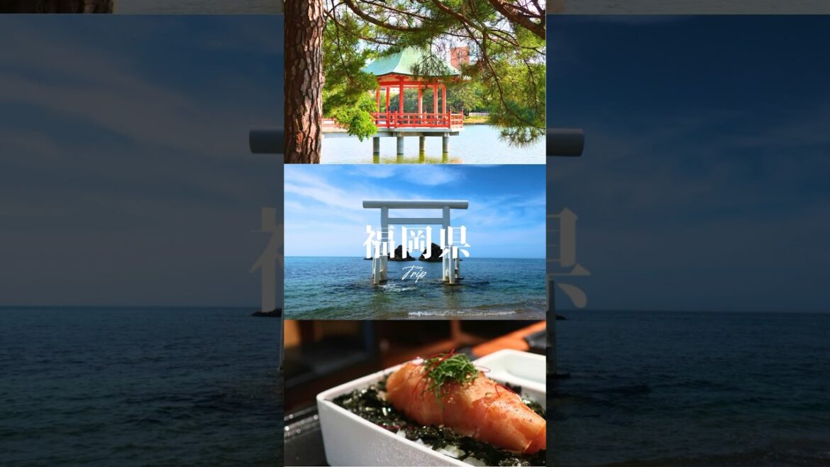 【福岡県観光】 #shorts #japan #trip #福岡県 #福岡観光 #日本旅行 #日本観光 #福岡 #博多 #太宰府天満宮 #福岡タワー #糸島 #水炊き #明太子