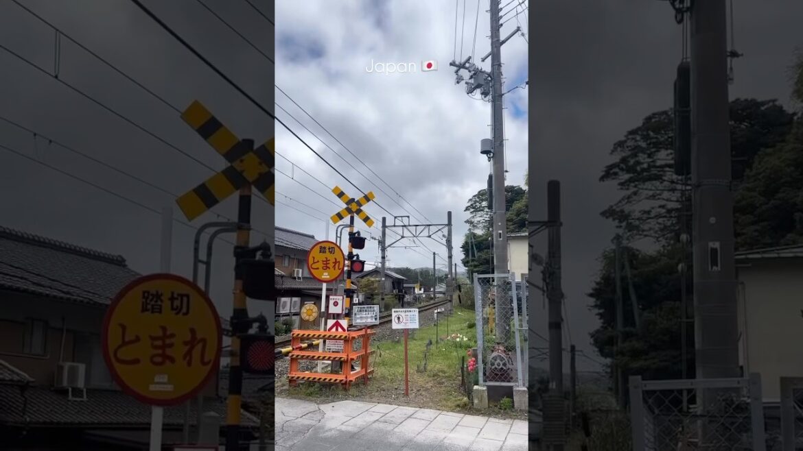 Japan🇯🇵 #osaka #travel #kyoto #japan