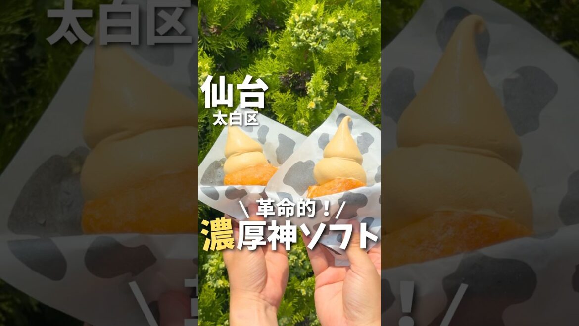 【仙台グルメ】ありそうでなかった！革命的濃厚ソフト🍦#仙台グルメ #宮城グルメ #仙台旅行 #宮城旅行 #仙台観光 #ドーナツ #japantravel #japanesefood #shorts