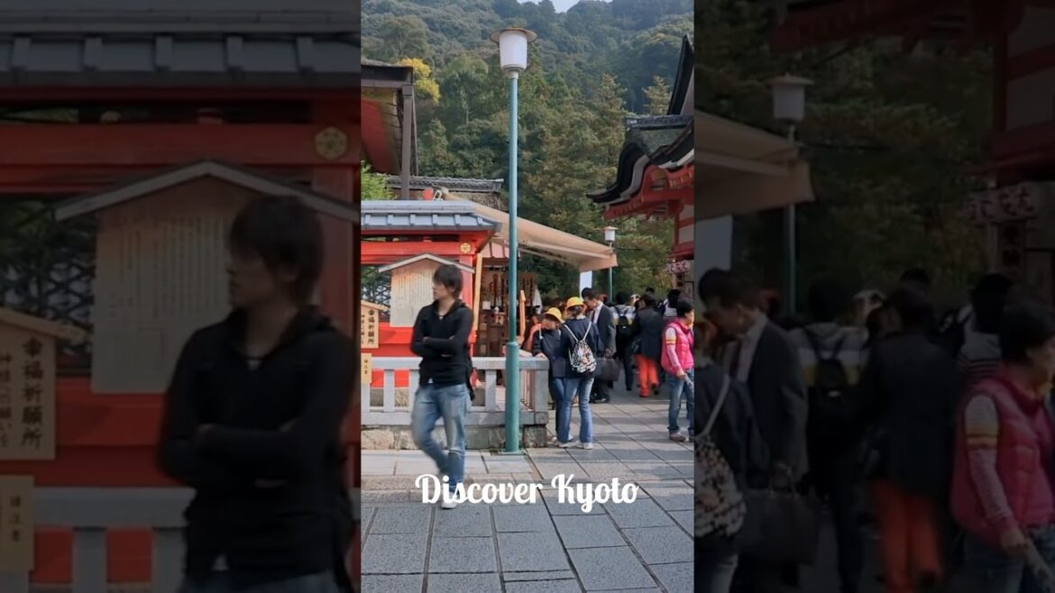 "Top 3 Places You Must Visit in Japan 🇯🇵✨" #shorts #viralshorts  #japan