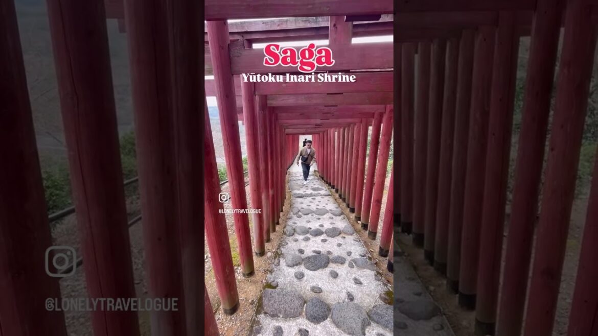 Yūtoku Inari Shrine in Saga, Prefecture #sagajapan #travel #japantravelvlog