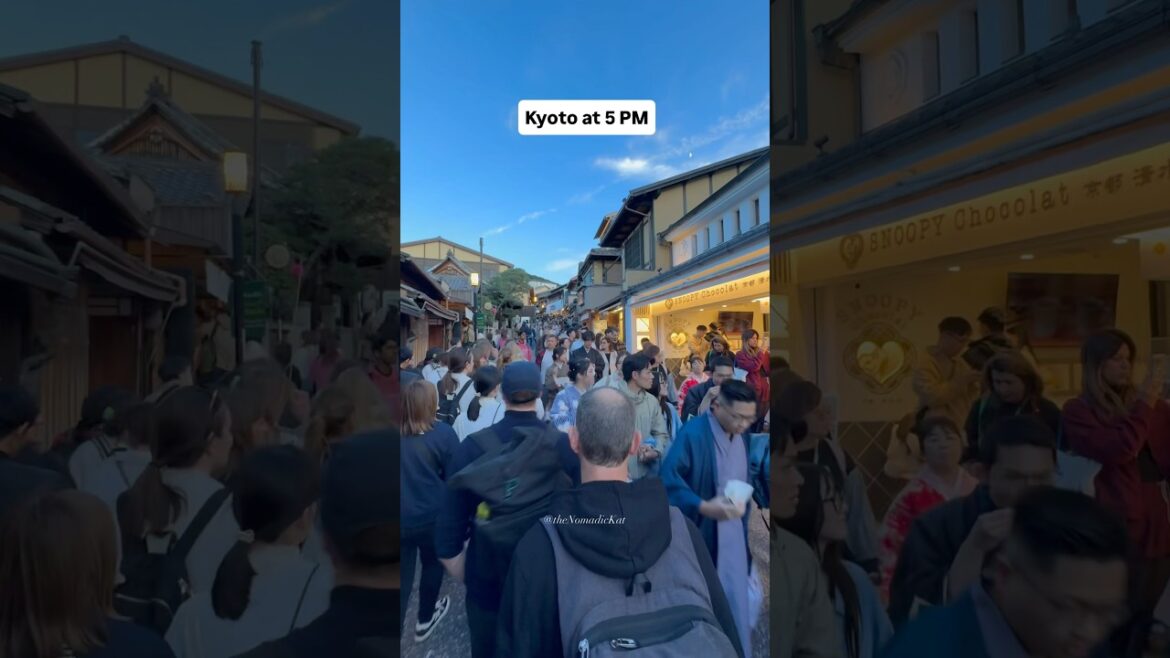 Best way to enjoy Kyoto, Japan ✅ #expectationvsreality #kyoto #japantravel