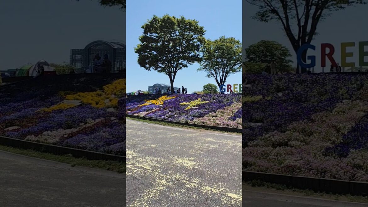 Green Park, Kitakyushu, Fukuoka, Japan 🇯🇵 #japan #kitakyushu #park #greenpark #flowers