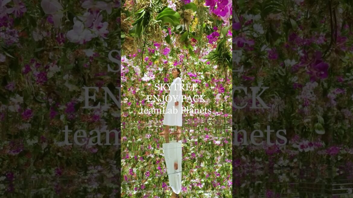 teamLab Planets Toyosu & Tokyo Skytree: An Immersive Art Journey in Tokyo🎨✨