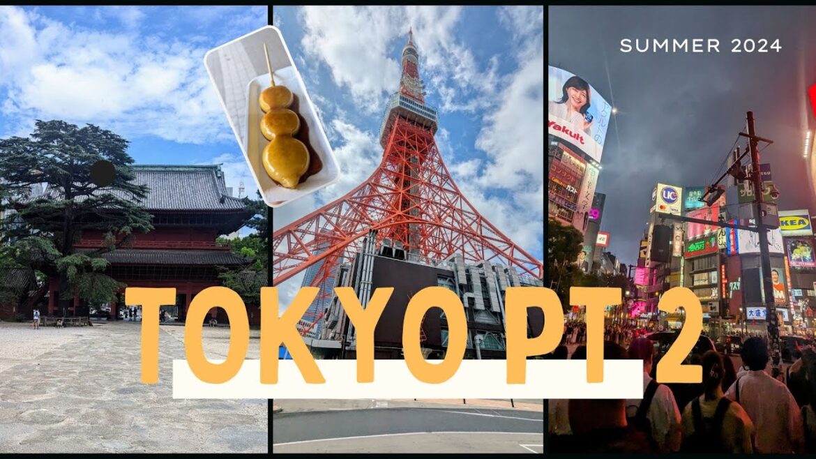 Tokyo, Japan (pt 2)🇯🇵 | Mega Don Quijote | Shibuya | Meiji Jingu | Family Travel Vlog Tokyo, Japan (pt 2)🇯🇵 | Mega Don Quijote | Shibuya | Meiji Jingu | Family Travel Vlog