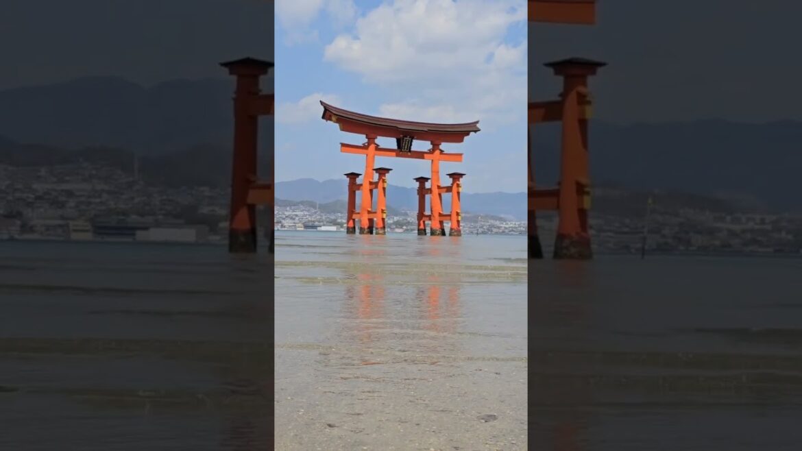 Mikasa Beach & Itsukushima Jinja ShrineHiroshima, Japan. 🇯🇵 #JAPAN_TOUR_APR2025