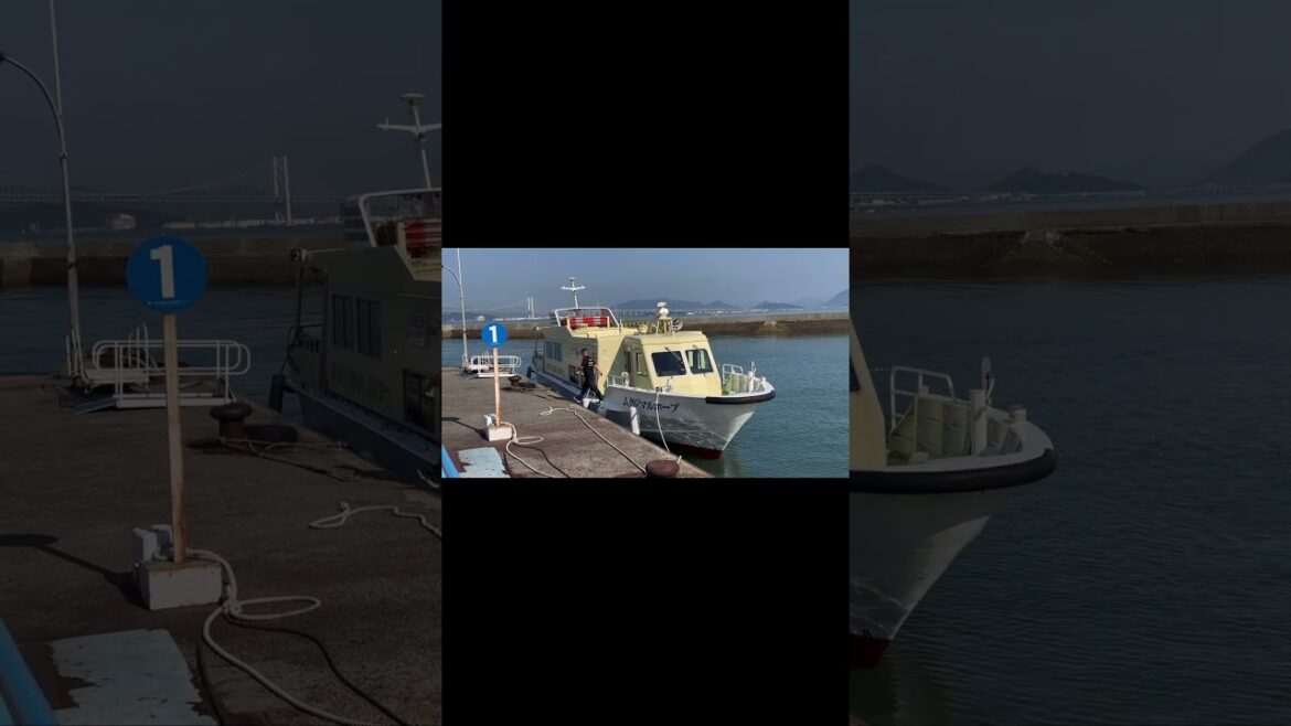 【本島港入港】ムクジマルホープ〜むくじ丸海運