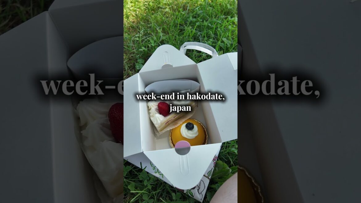 hakodate trip #japan #summer