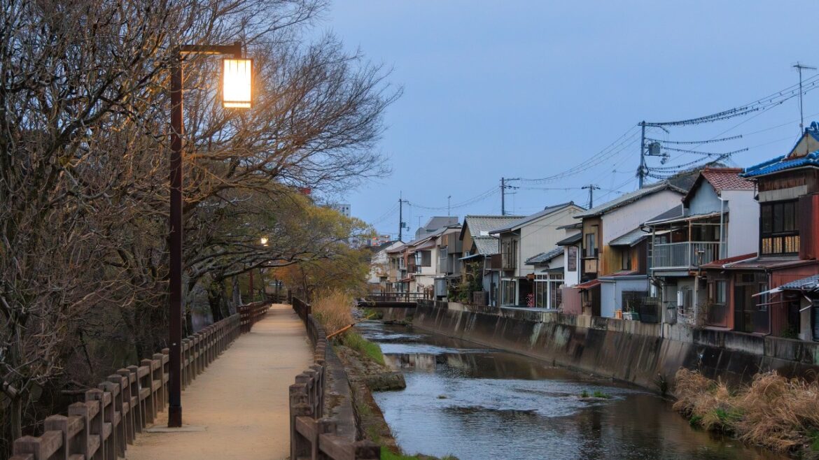Dawn Walk around Himeji Castle in Full Bloom | Himeji, Japan 4K Dawn Walk around Himeji Castle in Full Bloom | Himeji, Japan 4K