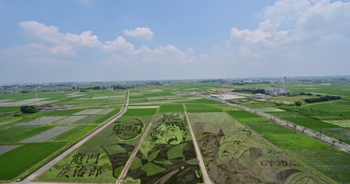 East Japan city starts rooftop tours for better view of anime-themed rice paddy art East Japan city starts rooftop tours for better view of anime-themed rice paddy art