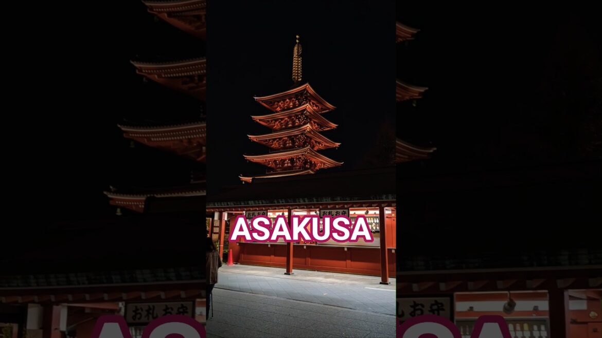 Tokyo Night Temple View 🇯🇵 The Spiritual Side of Japan 夜の東京寺スポット Tokyo Night Temple View 🇯🇵 The Spiritual Side of Japan 夜の東京寺スポット